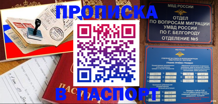 купить прописку в Новодвинске